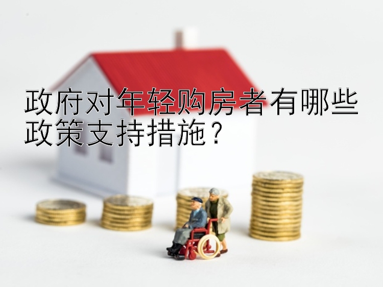 政府对年轻购房者有哪些政策支持措施？