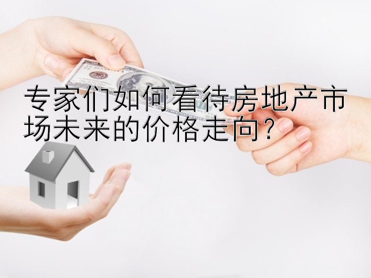 专家们如何看待房地产市场未来的价格走向？