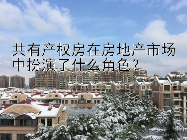 共有产权房在房地产市场中扮演了什么角色？