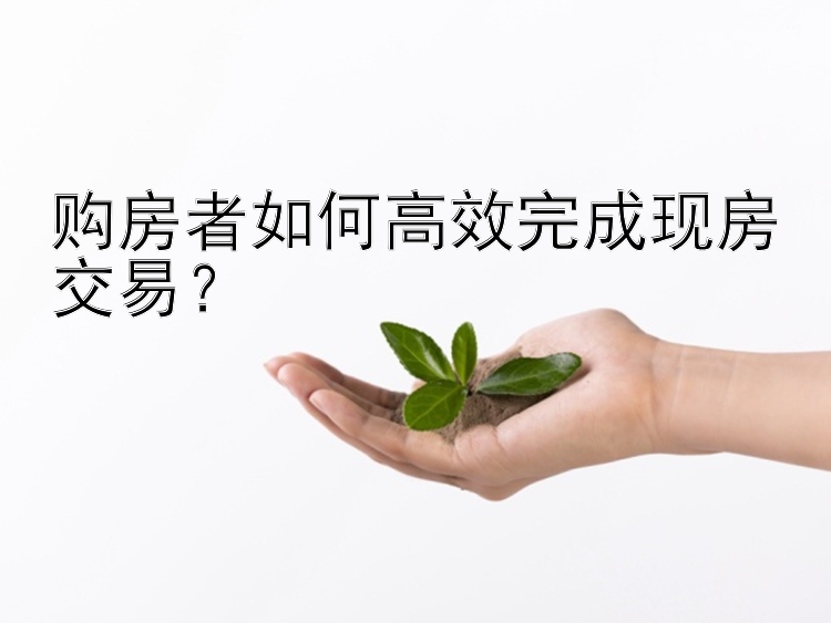 购房者如何高效完成现房交易？