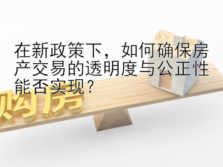 在新政策下，如何确保房产交易的透明度与公正性能否实现？